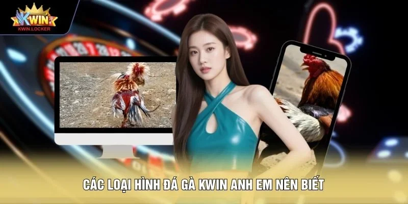 Các loại hình đá gà KWIN anh em nên biết