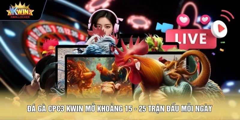 Đá gà CPC3 KWIN mở khoảng 15 - 25 trận đấu mỗi ngày 