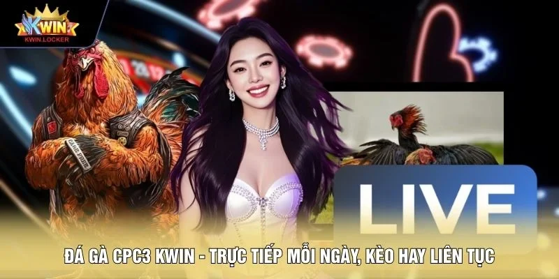 Đá gà CPC3 KWIN
