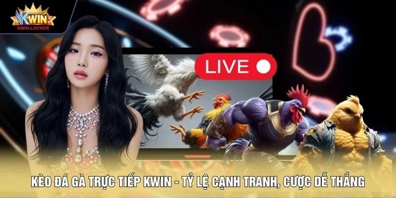 Kèo đá gà trực tiếp KWIN