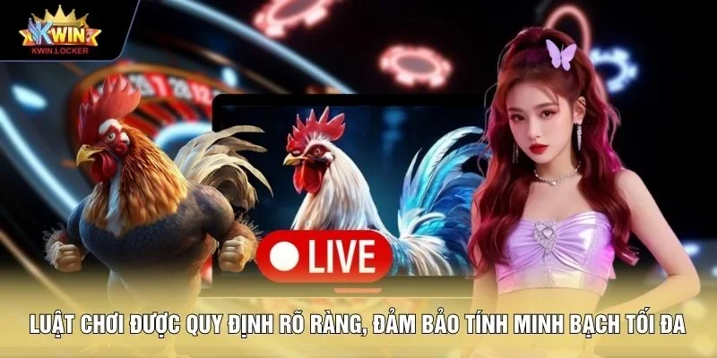 .Luật chơi được quy định rõ ràng, đảm bảo tính minh bạch tối đa 