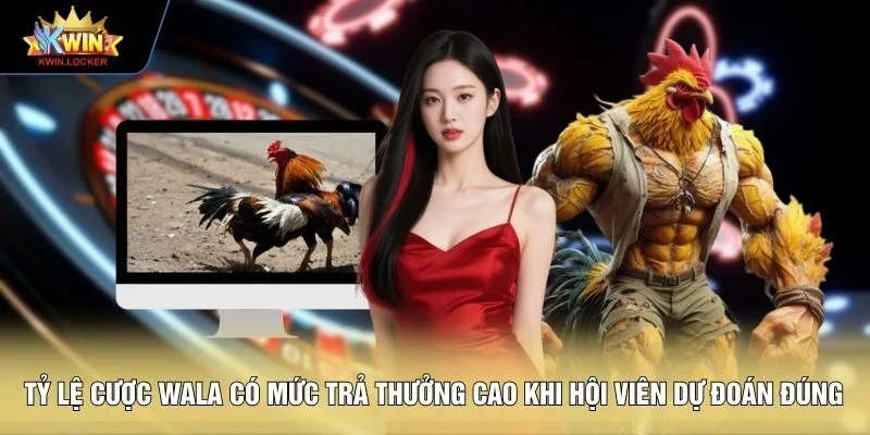 Tỷ lệ cược wala có mức trả thưởng cao khi hội viên dự đoán đúng